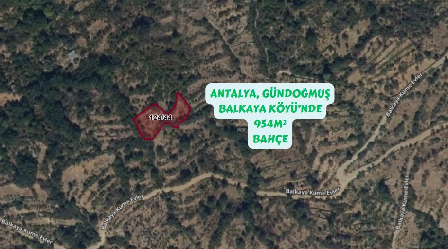 İlan Fotoğrafı